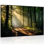 Amazon.com: Sunrise Forest Canvas Wall Art Nature Mountain Wall
