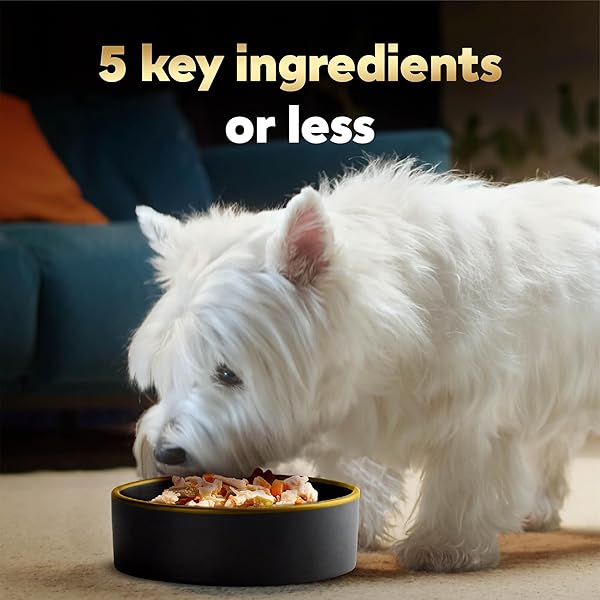 CESAR SIMPLY CRAFTED WET DOG FOOD TOPPERS FOR DRY FOOD, CHICKEN, CARROTS, POTATOES & PEAS AND CHICKEN, SWEET POTATO, APPLE, BARLEY & SPINACH MEAL TOPPER VARIETY PACK, 1.3 OZ. TUBS, 8 COUNT