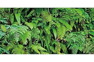 AWERT 30x12 inches Tropical Terrarium Background Tropical Plants Leaves Aquarium Background Rainforest Reptile Habitat Background Vinyl