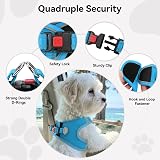 Joytale Step in Dog Harness Soft Mesh Reflective Easy Walk Harness Sky Blue view 6