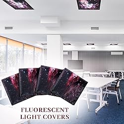Patelai 4 x 2 Feet Fluorescent Light Cover for