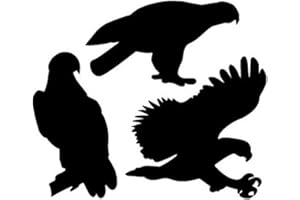 Woodcraft Project Paper Plan To Build Eagle Pack Of Shadow - Material Not Included