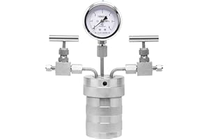 BAOSHISHAN Hydrothermal Autoclaves Reactor, Mini Stainless Steel Pressure Reactor with Gas Connections and Pressure Gauge, PTFE Lining for 180 Degrees Celsius 3MPa (200ml)