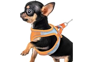 RUNHIKE Premium Chihuahua Harness and Leash Set - Ultra-Comfy & Secure Dog Harness for Chihuahua