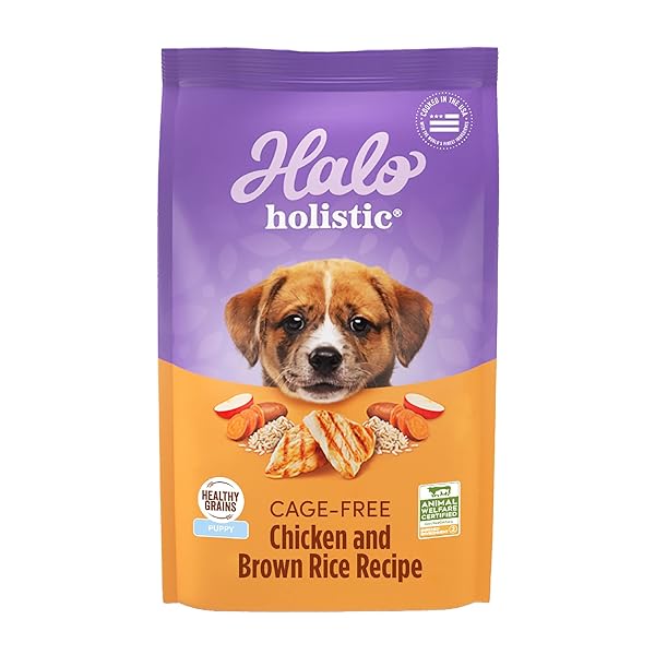 HALO HOLISTIC PUPPY FOOD, CAGE FREE CHICKEN & BROWN RICE RECIPE, HEALTHY GRAINS DRY DOG FOOD, COMPLETE DIGESTIVE HEALTH, 3.5 LB BAG