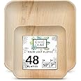 Chic Leaf Palm Leaf Plates Disposable Bamboo Plates Like 10 Inch & 7 Inch Square Party Pack (48 Pc) Compostable and Biodegrad