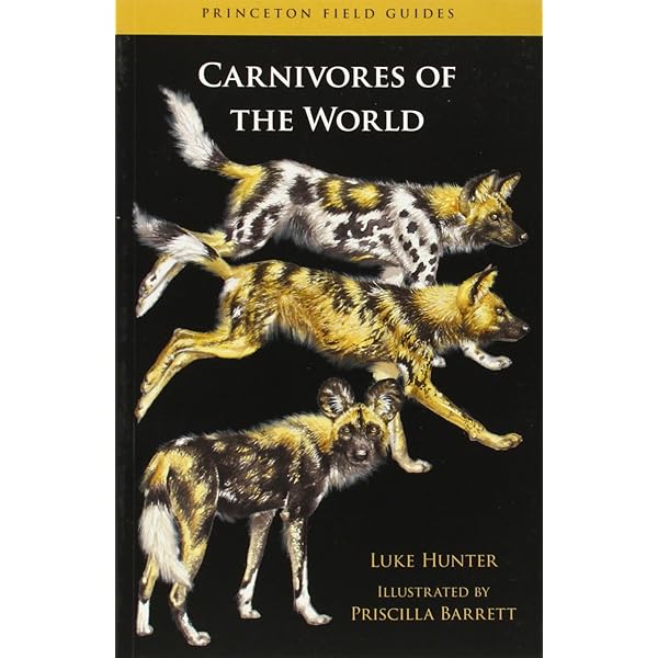 Amazon.com: Jeffrey Whiting's Owls of North America (Whiting's