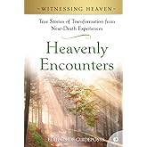Heavenly Encounters: True Stories of Transformation from Near-Death Experiences (Witnessing Heaven)