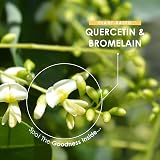 ALPHA01 Quercetin 800mg & Bromelain 396 GDU Vegan 60 Caps BioPerine view 4