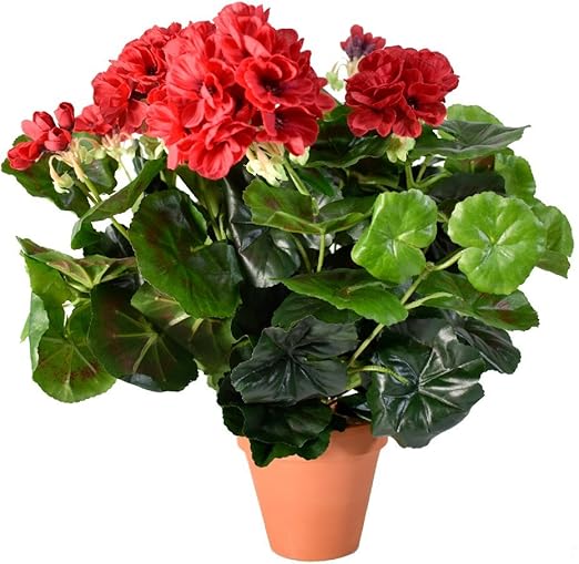 Pianta Artificiale In Vaso Gerani Rossi Con Foglie 38 Cm Olore Home Amazon It Giardino E Giardinaggio