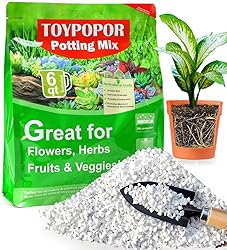 TOYPOPOR Perlite for Plants, (6qt) 3-6mm Organic