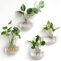 Mkono 4 Pack Glass Wall Hanging Planter Wall Mounted Plant Vase Indoor Air Plants Terrariums for Home Office Living Room Deco