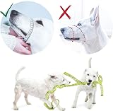 GoodBoy Gentle Muzzle Guard for Dogs Soft Neoprene Read Size Guide Blue S+ view 6