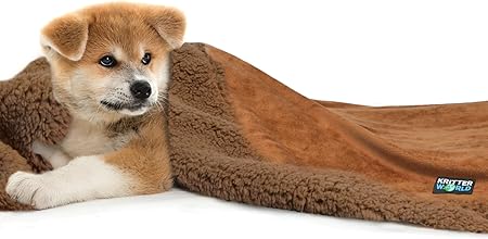 dog cuddle blanket