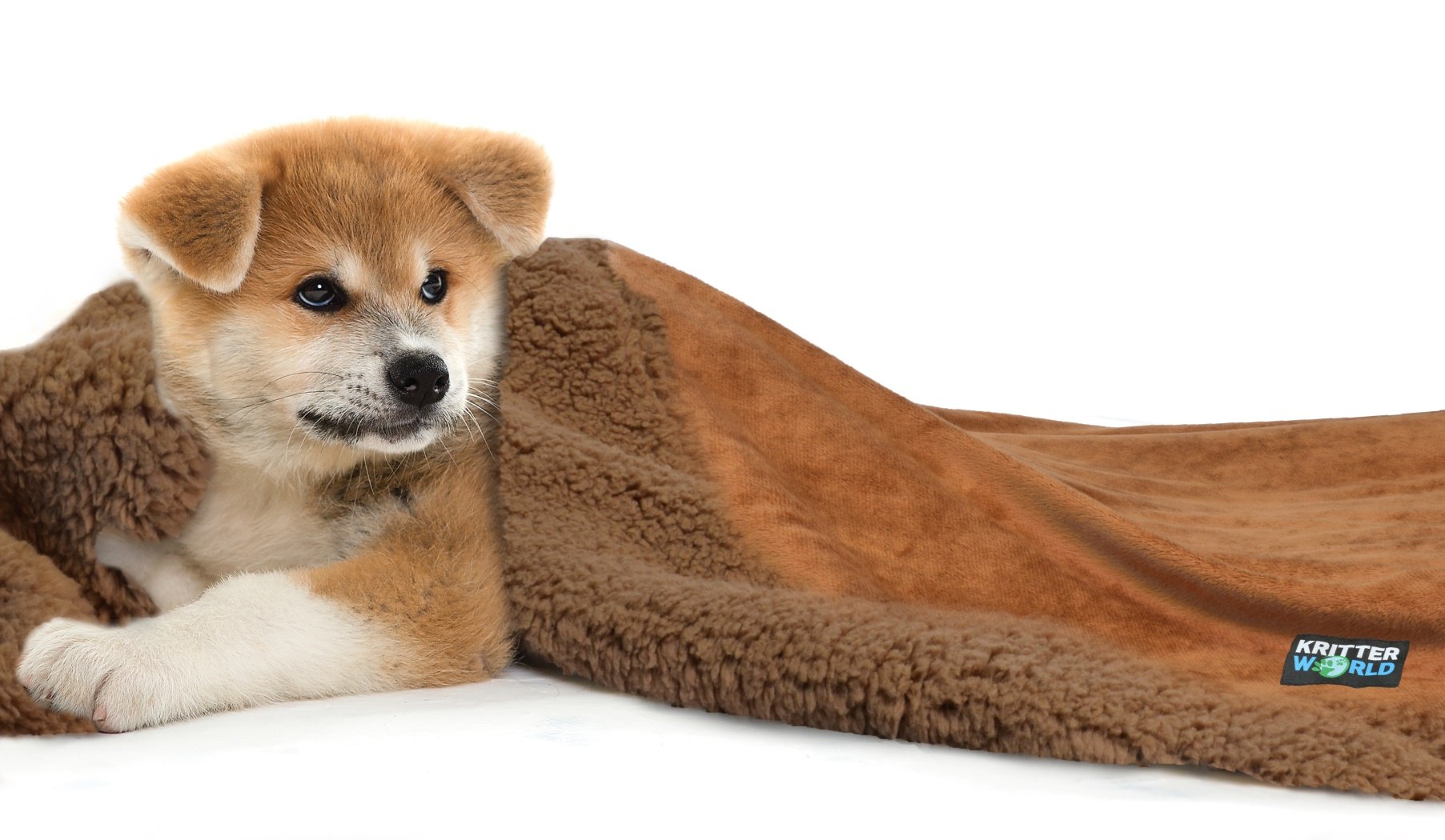 KritterWorld Pet Dog Cat Puppy Kitten Microplush Sherpa Snuggle Blanket for Couch, Car, Trunk, Cage, Kennel, Dog House, 45\
