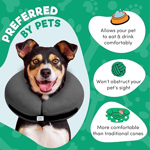 Comfy Cone Cones For Dogs After Neutering Comfy Cone Pet Cone For