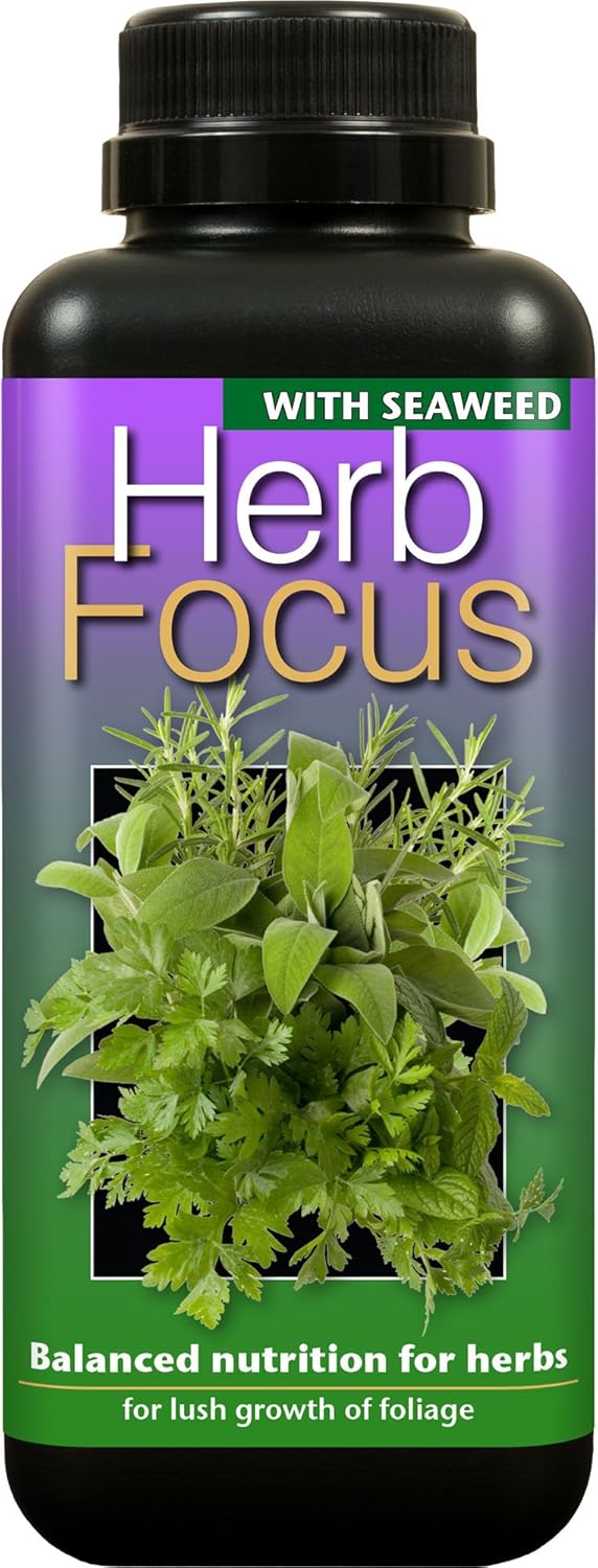 Herb Focus Liquid Concentrated Fertiliser 500ml Amazon.co.uk Garden