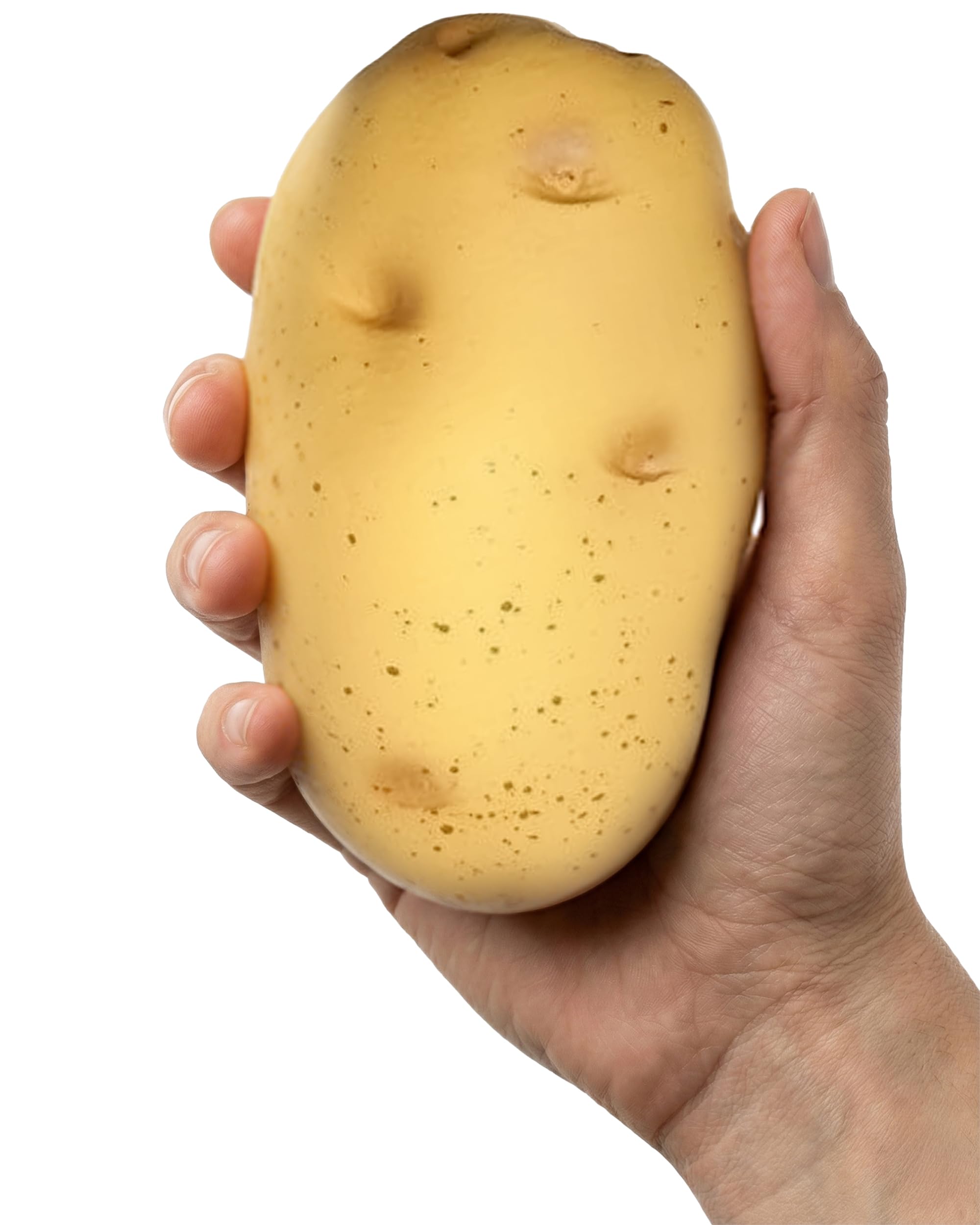 Alpi Potato Squishy Toys – Soft Squeeze Toys for Adults – Realistic Fake Food Stress Ball, a Funny Gift Idea for Home or Office