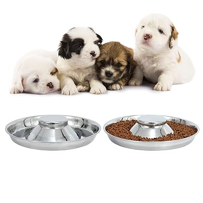 Buy Leacoolkey Stainless Steel Dogs Bowls Puppy Food Water Bowls Dogs Feeding Bowls For Litters Puppies Pets Whelping Weaning Dishes Feeder Bowls For Dogs Cats Pets Ste Of 2 Online In Uzbekistan B08mkqvd5d