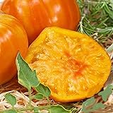 Marvel Striped Heirloom Tomato Seeds - Large Tomato