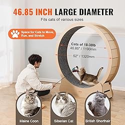 VEVOR Cat Exercise Wheel, 52" Large Cat Treadmill