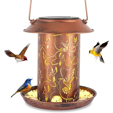 Travel Friendly Window Bird Feeder: Ultimate Guide for Bird Lovers