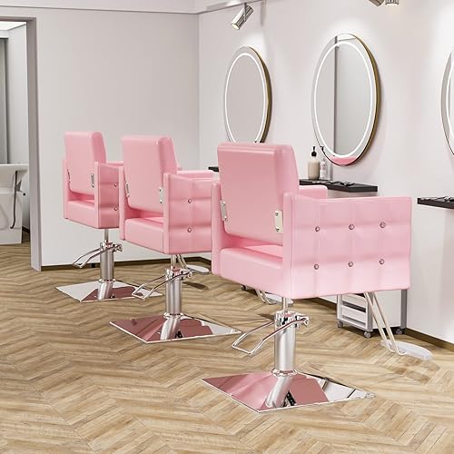 OmySalon Hair Salon Chair Hydraulic Barber Chair for Home
