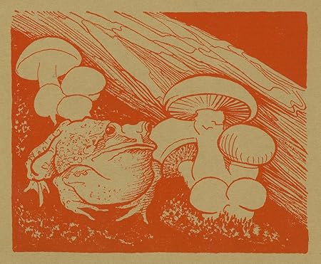 pic Vintage Mushroom Wall Decor bullfrog by a patch of mushrooms vintage 30146 12x18 art print wall decor travel poster