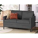 TYBOATLE Fabric Modern Loveseat Sofa Couch for Living Room, 51" W Upholstered Love Seats 2-Seater Furniture w/Iron Legs for C