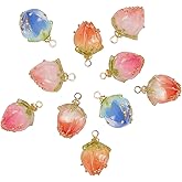 SUNNYCLUE 1 Box 10Pcs 5 Styles Dried Flower Charms Transparent Clear Epoxy Resin Pendants with Brass Hole 1.2mm Glass Micro Beads for DIY Earrings Bracelet Necklace Jewelry Accessories Gift Supplies