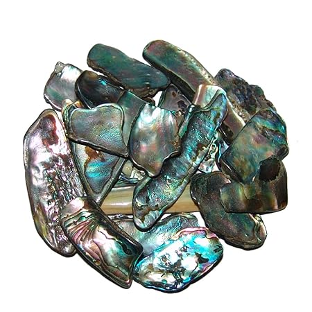 Paua Shell Muschel 50 Gramm = ca 70-100 kleine Stücke Seeopal mit herrlichem blauem Farbspiel