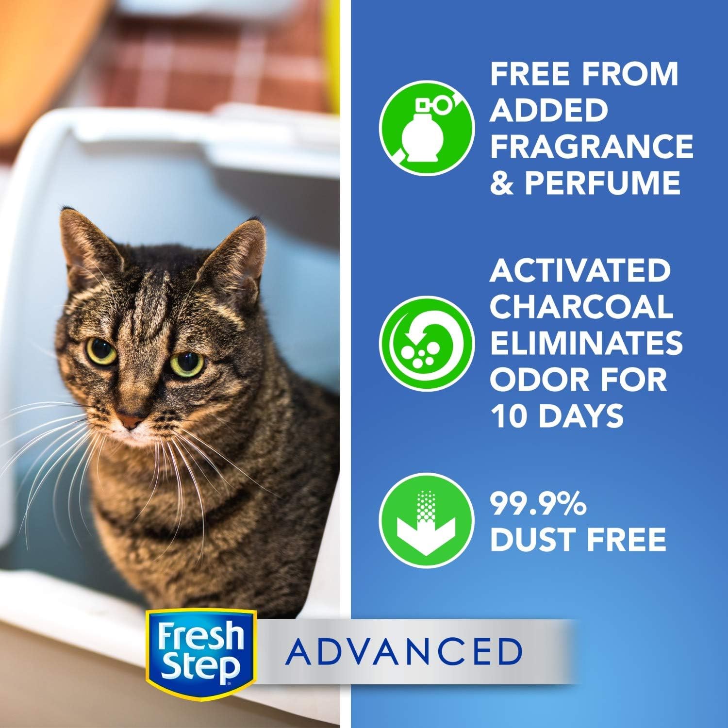 Fresh Step Advanced Clumping Cat Litter with Activated Charcoal & Natural Odor Control - Unscented, 37 Lb (2x18.5lb Pack), Gray (32403) : Pet Supplies