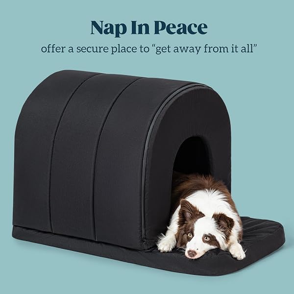 PELZIN ORTHOPEDIC DOG HOUSE – OUTDOOR WATERPROOF DOG SHELTER W/PORCH – INDOOR PET HOUSE W/EGG-CRATE FOAM – COOLING – MACHINE WASHABLE – IDEAL FOR LARGE BREEDS & FITS 36-INCH CRATE – 35″X22″