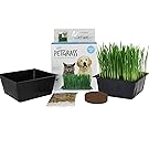 Mini Organic Pet Grass Kit - Grow Wheatgrass for Pets: Dog, Cat, Bird, Rabbit, More - Includes Trays, Soil, Wheat Grass Seeds, Instructions by Wheatgrass Kits