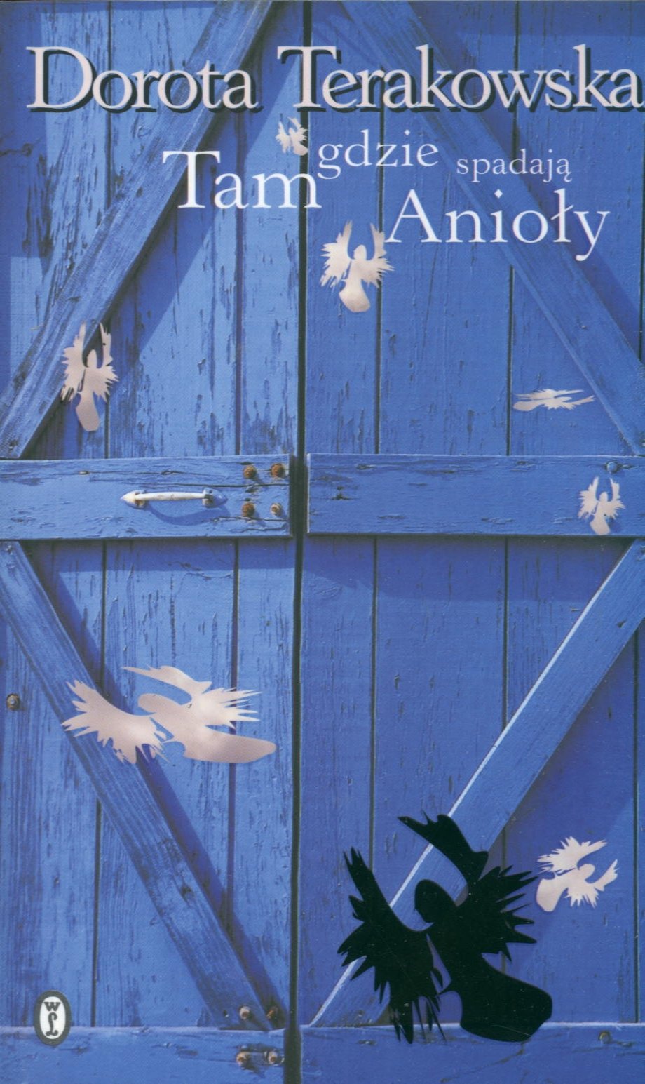 Tam Gdzie Spadaja Anioly 9788308039670 Amazon Com Books