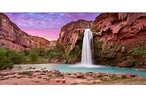 AWERT 24x16 inches Reptile Habitat Background Sunset Mountain Waterfall Terrarium Background