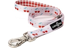 Lucy & Co. Cheery Cherries - Designer Dog Leash for Small to Large Dogs - Padded Handle for Comfort - Large, Red Gingham Cherries - 5 Foot