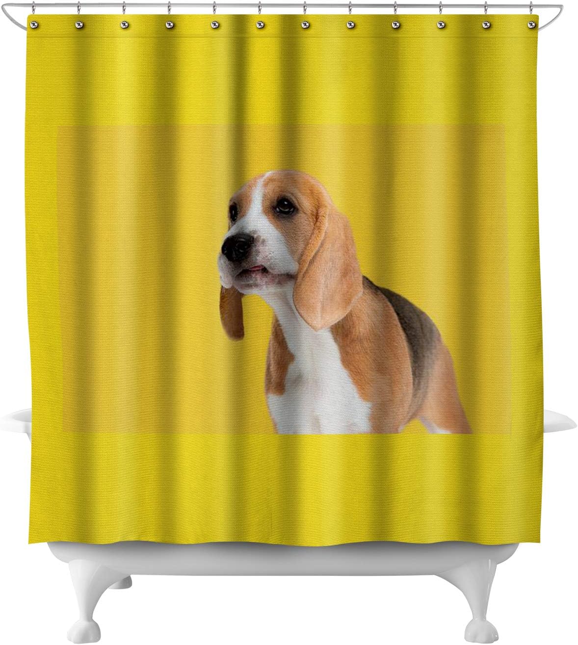 tricolor beagle