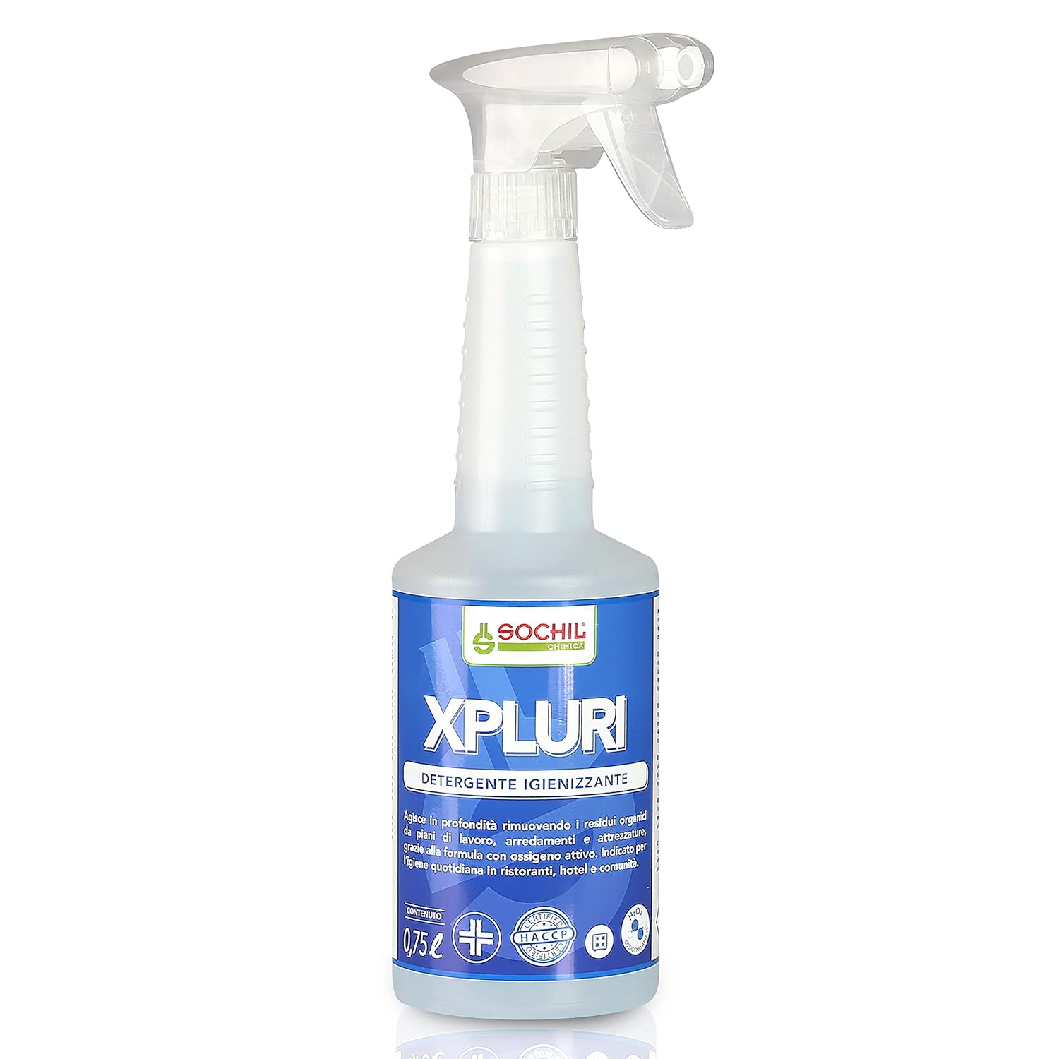 forno commerciale per ristorante