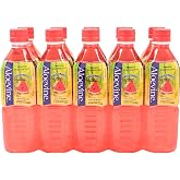 Aloevine Korean Aloe Vera Juice Drink with Real Aloe Pulp, Watermelon Flavor, Ready-to-Drink Plant-Based Beverage, 16.9 Fl Oz Bottles (Pack of 10)