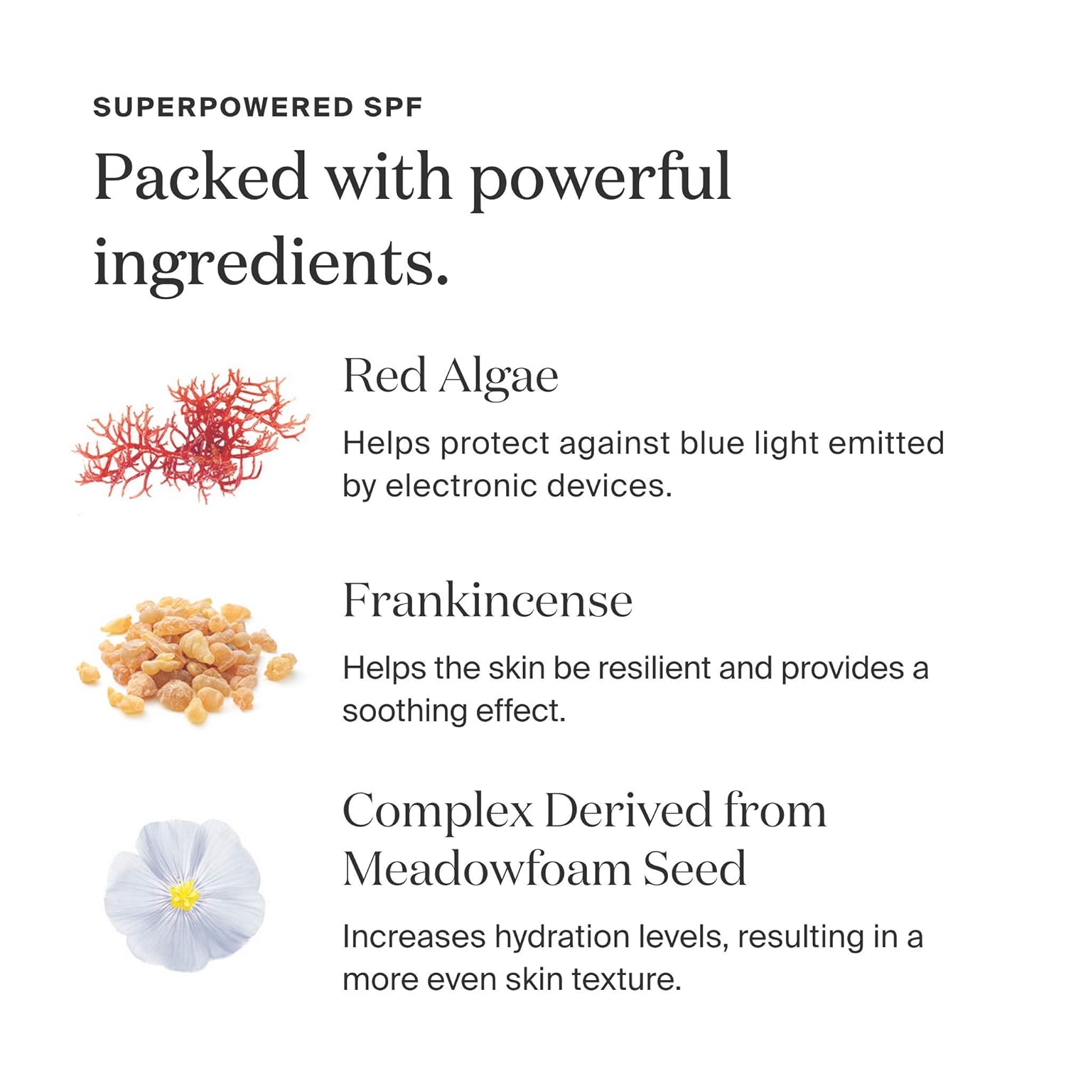Supergoop! Unseen Sunscreen SPF 40, 1.7 oz - Oil-Free, Weightless & Invisible Broad Spectrum Face Sunscreen for All Skin Types - Scent-Free - Great Makeup Primer - Beard-Friendly: Beauty