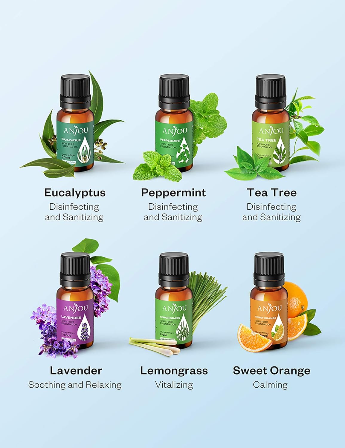 Essential Oils Set - Anjou Aromatherapy Essential Oil Top 6 10ml Pure & Therapeutic Grade for Diffuser Massage Yoga Auto Office: Health & Personal Care