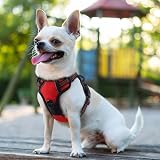 rabbitgoo Small Dog Harness No Pull Reflective Front Back Leash Clips Red XS view 9