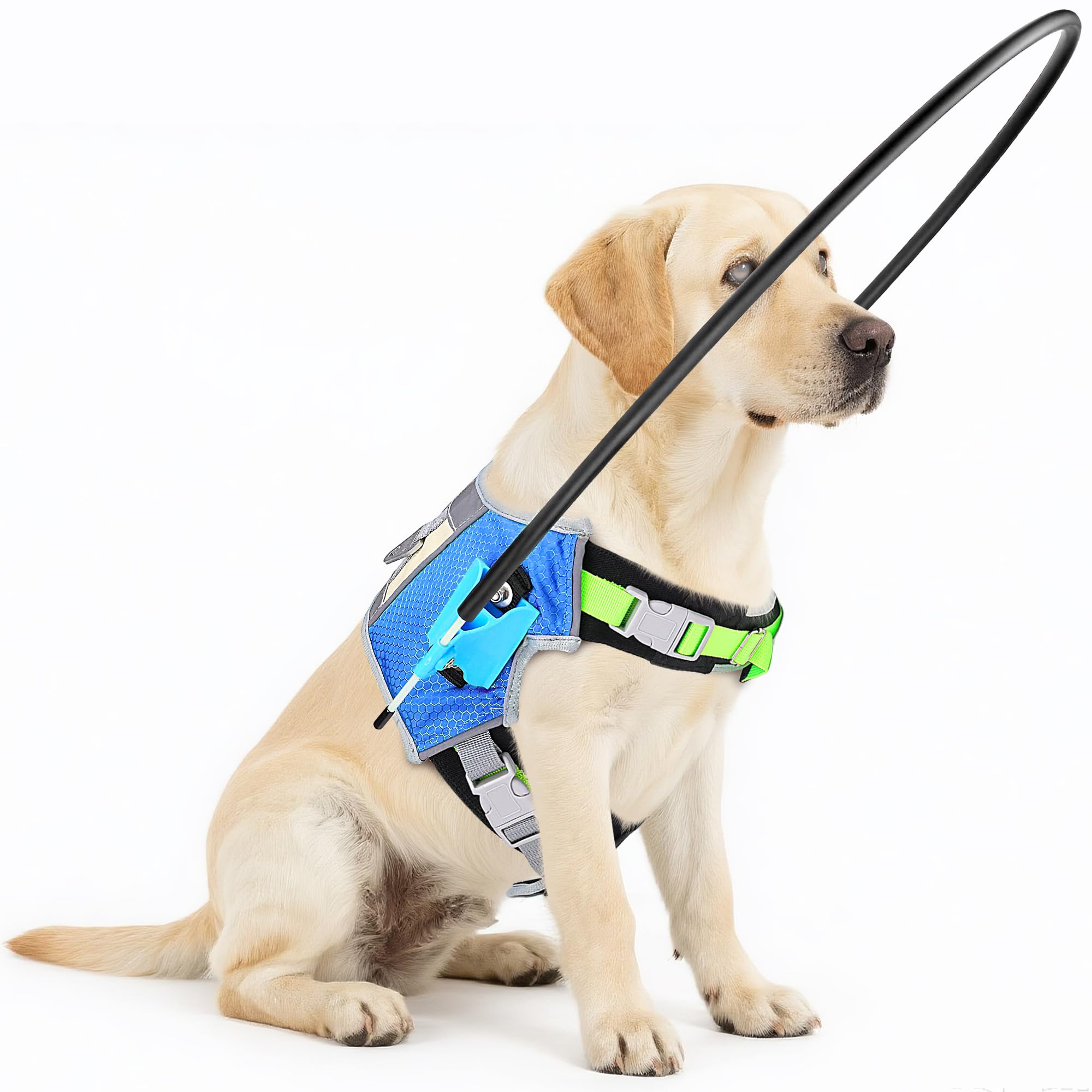 Photo 1 of [Updated] LetPetRun Blind Dog Halo Harness, Protective Halo Collar with Reflective Straps, Confidence Building Guiding Device Adjustable Size, Blind Dog Accessories, S