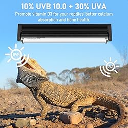 Jaenmsa T5 10.0 UVB Light Fixture for Reptiles, 8W