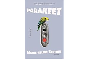 Parakeet: A Novel
