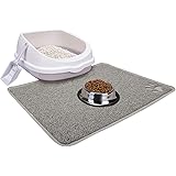 Cat Open Top Litter Box with Lid, Cat Litter Mat, Poop Lifter Scoop & Kitten Kitty Stainless Steel Feeding Dish Bowl, Cat Sta