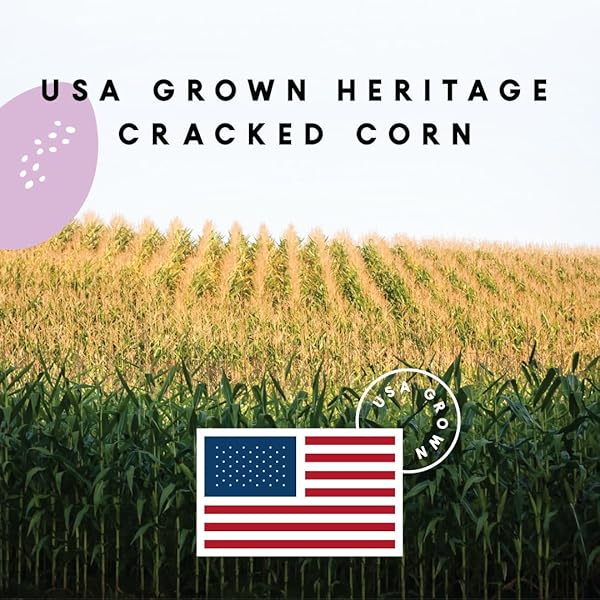 MANNA PRO CRACKED CORN W/PURPLE CORN 10LB