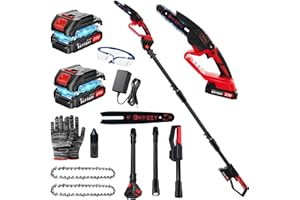 Dnveey Cordless Pole Saw for Tree Trimming, 2-in-1 Electric Pole Saw & Mini Chainsaw Kit with 2x 21V Batteries, Long Reach for High Branches (DZJ3024)