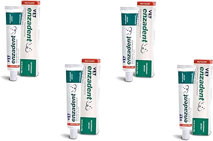 enzadent enzymatic toothpaste